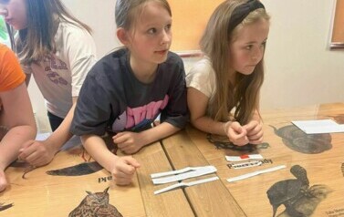 3b w CEE w Ełku (18)
