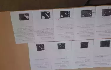 &quot;Pieczarki z klasą&quot; - projekt edukacyjny 18
