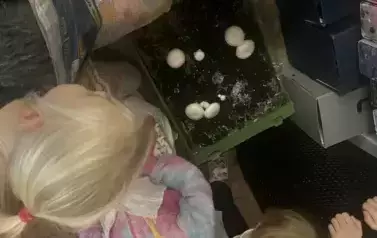 &quot;Pieczarki z klasą&quot; - projekt edukacyjny 23