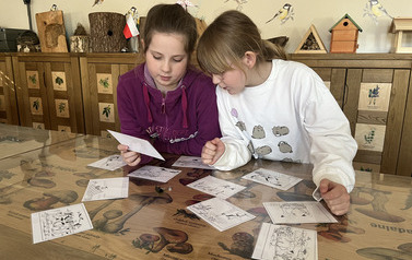 2a w Centrum Edukacji Ekologicznej w Ełku 11