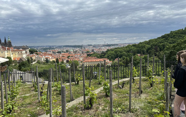 Złoty Stok - Praga - Park Narodowy G&oacute;r Stołowych - Wrocław - wycieczka klas 3-8 45
