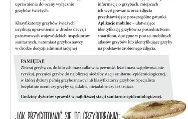 Bezpieczne wakacje 10