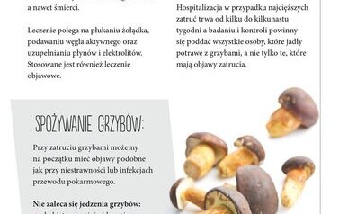 Bezpieczne wakacje 11