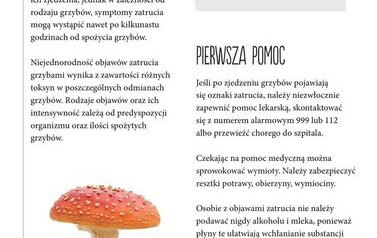 Bezpieczne wakacje 12