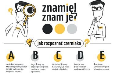 Bezpieczne wakacje 15