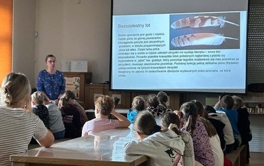 Skrzydlaci strażnicy las&oacute;w i p&oacute;l &ndash; SOWY jako mali pomocnicy przyrody 1