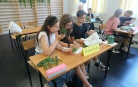 IMG_1776