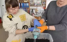 &quot;Pieczarki z klasą&quot; - projekt edukacyjny 2