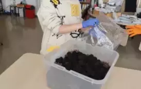 &quot;Pieczarki z klasą&quot; - projekt edukacyjny 4