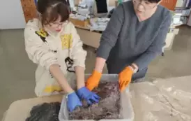 &quot;Pieczarki z klasą&quot; - projekt edukacyjny 8