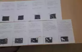 &quot;Pieczarki z klasą&quot; - projekt edukacyjny 19