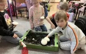 &quot;Pieczarki z klasą&quot; - projekt edukacyjny 21