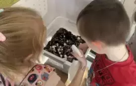&quot;Pieczarki z klasą&quot; - projekt edukacyjny 25