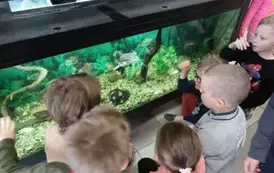W poszukiwaniu wiosny - warsztaty zer&oacute;wkowicz&oacute;w 5