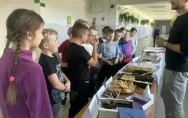 Międzynarodowy Dzień Język&oacute;w Obcych 2
