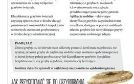Bezpieczne wakacje 10