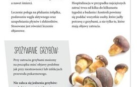 Bezpieczne wakacje 11