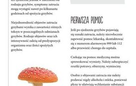 Bezpieczne wakacje 12