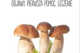 Bezpieczne wakacje 13