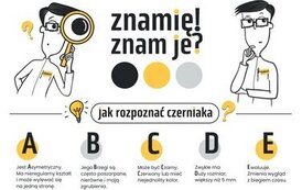 Bezpieczne wakacje 15