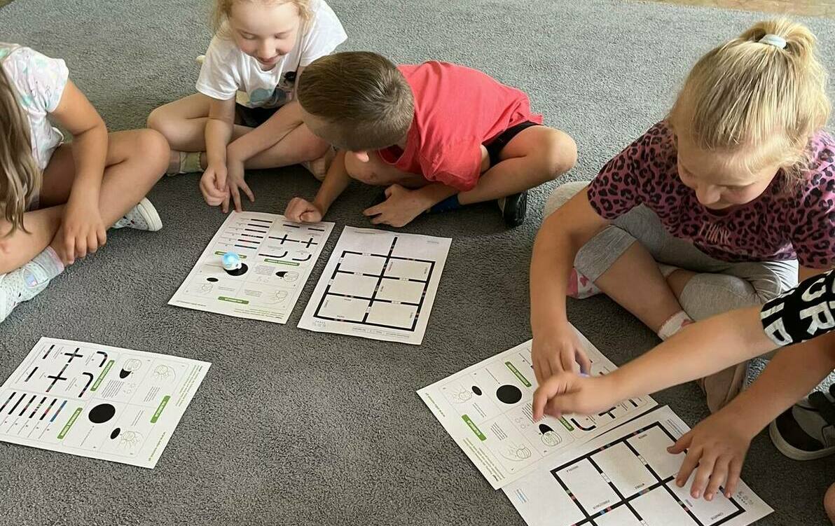 Zdjęcie do Ozoboty w zer&oacute;wce