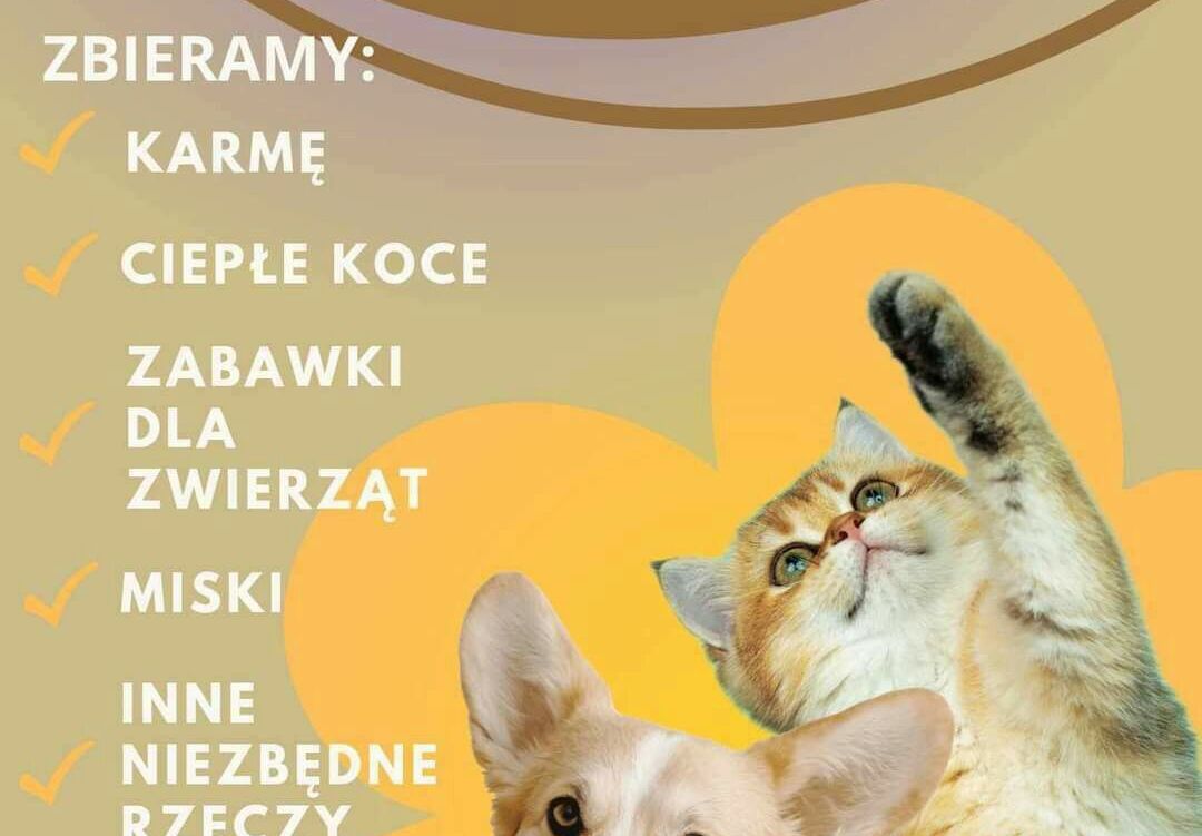 Zdjęcie do Pełna miska dla schroniska