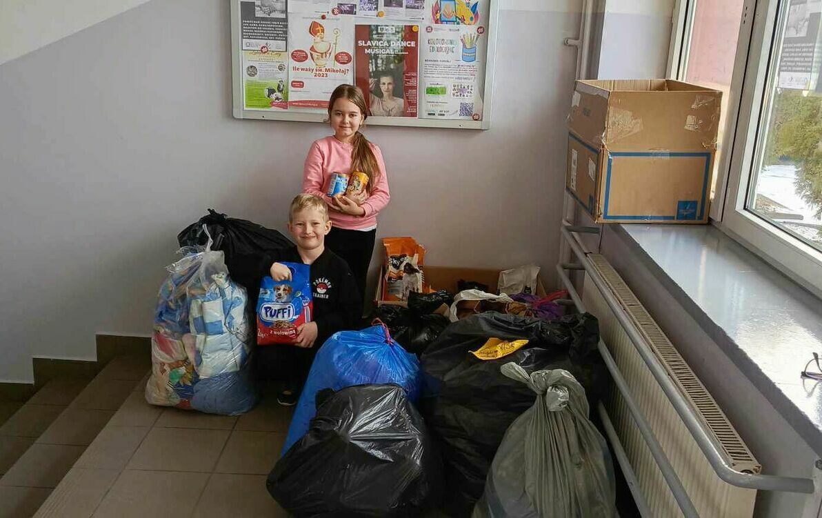 Zdjęcie do Podsumowanie zbi&oacute;rki karmy dla zwierzak&oacute;w